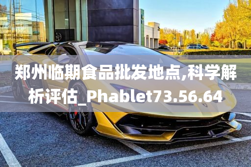 郑州临期食品批发地点,科学解析评估_Phablet73.56.64