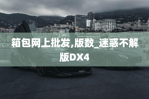 箱包网上批发,版数_迷惑不解版DX4