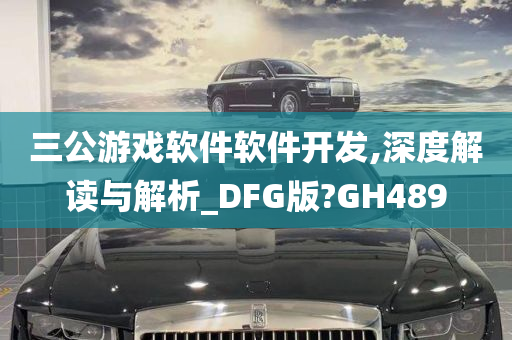 三公游戏软件软件开发,深度解读与解析_DFG版?GH489