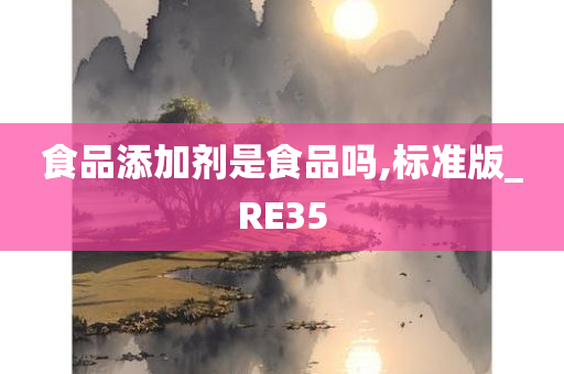 食品添加剂是食品吗,标准版_RE35