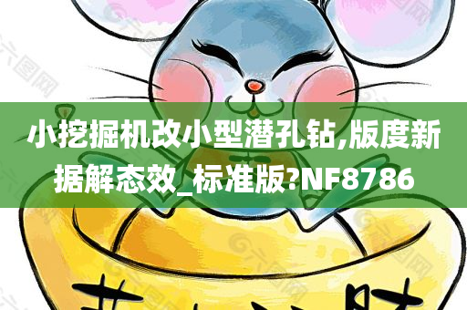 小挖掘机改小型潜孔钻,版度新据解态效_标准版?NF8786