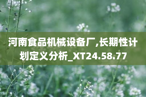 河南食品机械设备厂,长期性计划定义分析_XT24.58.77