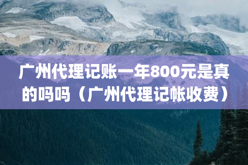 广州代理记账一年800元是真的吗吗（广州代理记帐收费）