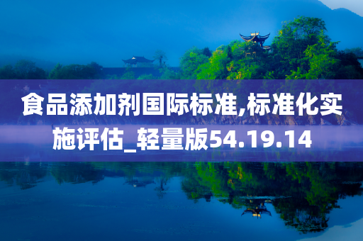 食品添加剂国际标准,标准化实施评估_轻量版54.19.14