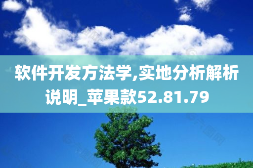 软件开发方法学,实地分析解析说明_苹果款52.81.79