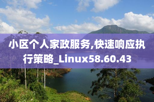 小区个人家政服务,快速响应执行策略_Linux58.60.43