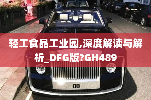 轻工食品工业园,深度解读与解析_DFG版?GH489