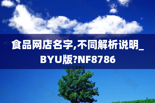 食品网店名字,不同解析说明_BYU版?NF8786