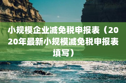 小规模企业减免税申报表（2020年最新小规模减免税申报表填写）