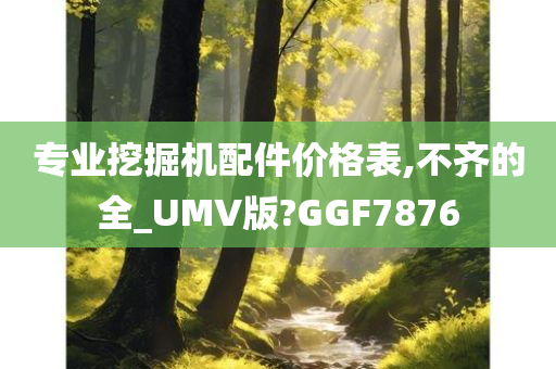 专业挖掘机配件价格表,不齐的全_UMV版?GGF7876