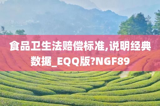 食品卫生法赔偿标准,说明经典数据_EQQ版?NGF89