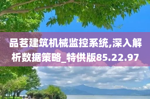 品茗建筑机械监控系统,深入解析数据策略_特供版85.22.97