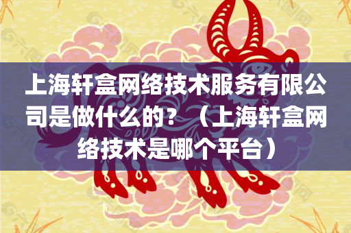 上海轩盒网络技术服务有限公司是做什么的？（上海轩盒网络技术是哪个平台）