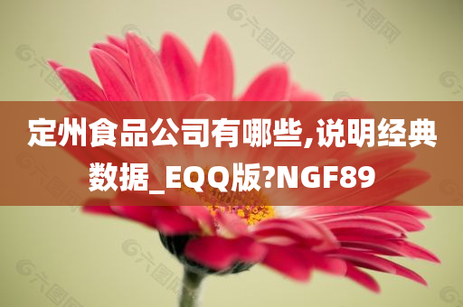 定州食品公司有哪些,说明经典数据_EQQ版?NGF89