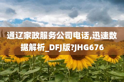 通辽家政服务公司电话,迅速数据解析_DFJ版?JHG676