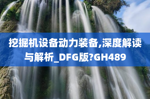 挖掘机设备动力装备,深度解读与解析_DFG版?GH489