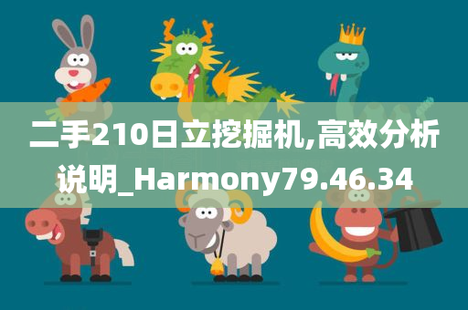 二手210日立挖掘机,高效分析说明_Harmony79.46.34