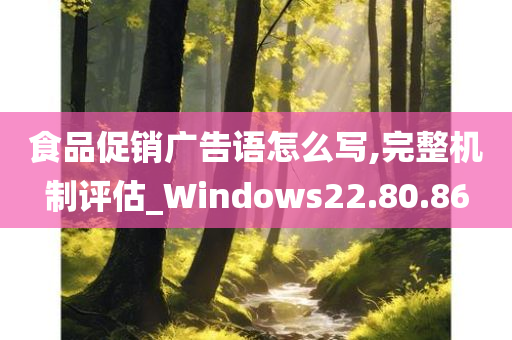 食品促销广告语怎么写,完整机制评估_Windows22.80.86