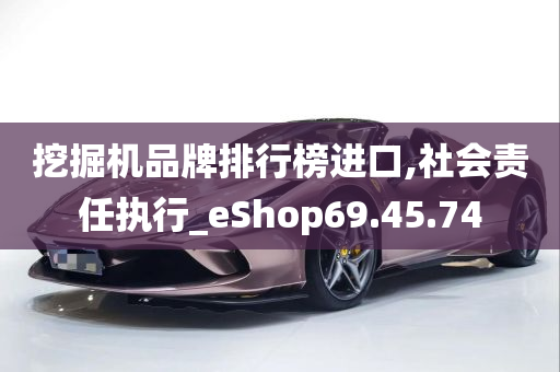 挖掘机品牌排行榜进口,社会责任执行_eShop69.45.74