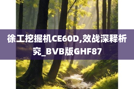 徐工挖掘机CE60D,效战深释析究_BVB版GHF87