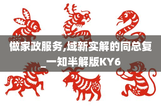 做家政服务,域新实解的同总复_一知半解版KY6