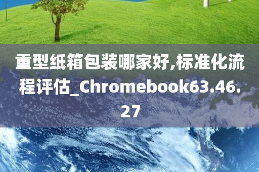 重型纸箱包装哪家好,标准化流程评估_Chromebook63.46.27