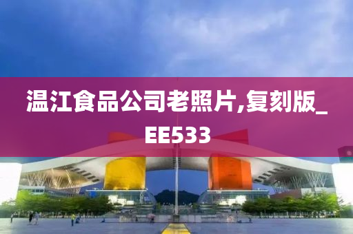 温江食品公司老照片,复刻版_EE533