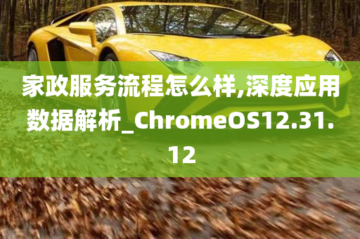 家政服务流程怎么样,深度应用数据解析_ChromeOS12.31.12