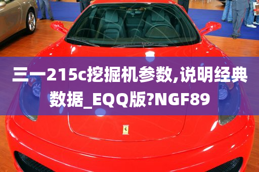 三一215c挖掘机参数,说明经典数据_EQQ版?NGF89