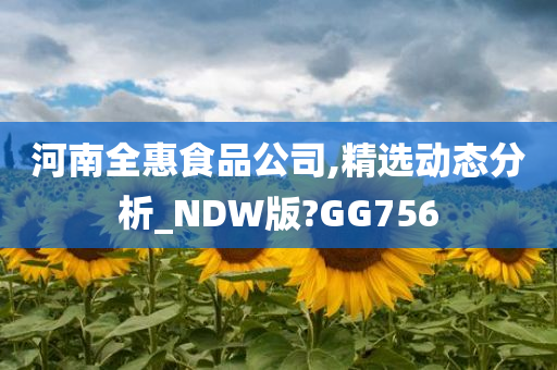 河南全惠食品公司,精选动态分析_NDW版?GG756