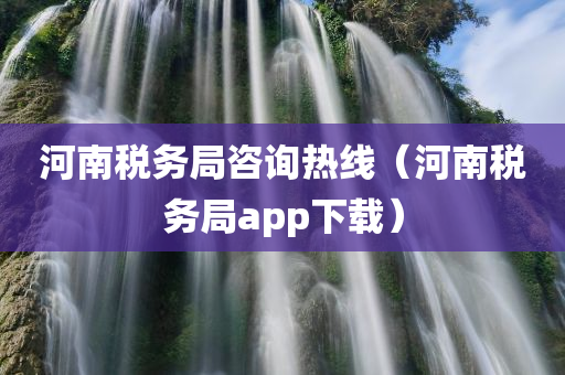 河南税务局咨询热线（河南税务局app下载）