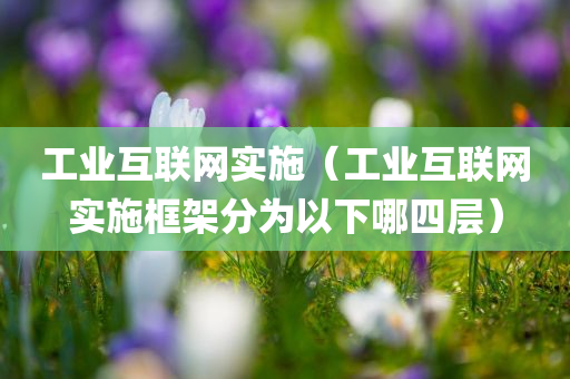 工业互联网实施（工业互联网实施框架分为以下哪四层）