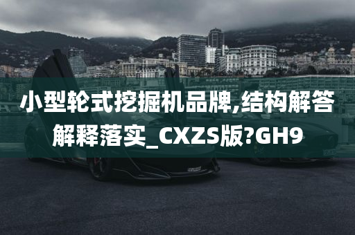 小型轮式挖掘机品牌,结构解答解释落实_CXZS版?GH9