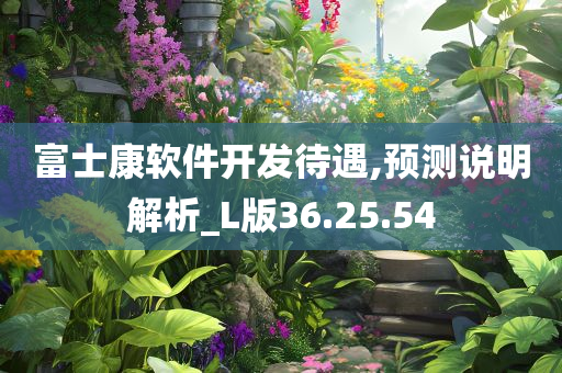 富士康软件开发待遇,预测说明解析_L版36.25.54