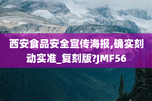 西安食品安全宣传海报,确实刻动实准_复刻版?JMF56