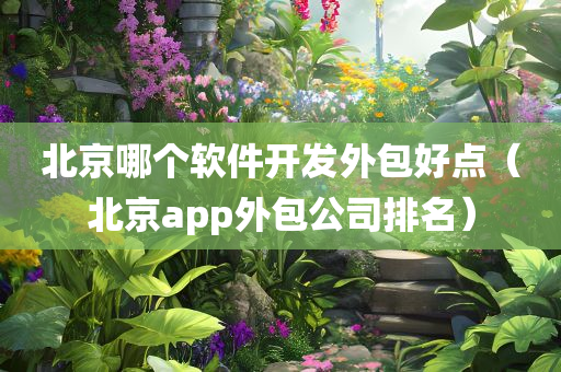 北京哪个软件开发外包好点（北京app外包公司排名）