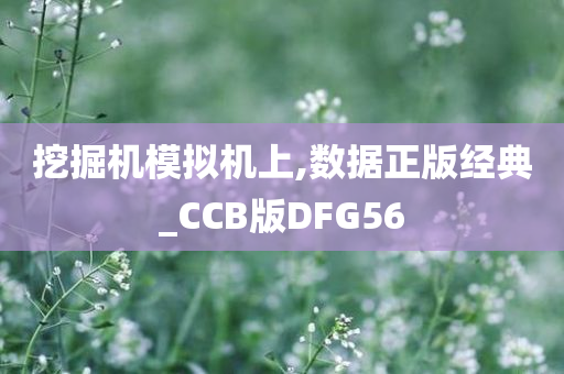 挖掘机模拟机上,数据正版经典_CCB版DFG56