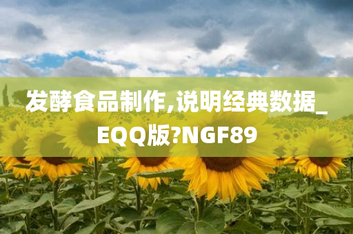 发酵食品制作,说明经典数据_EQQ版?NGF89