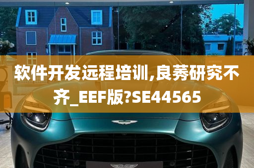 软件开发远程培训,良莠研究不齐_EEF版?SE44565