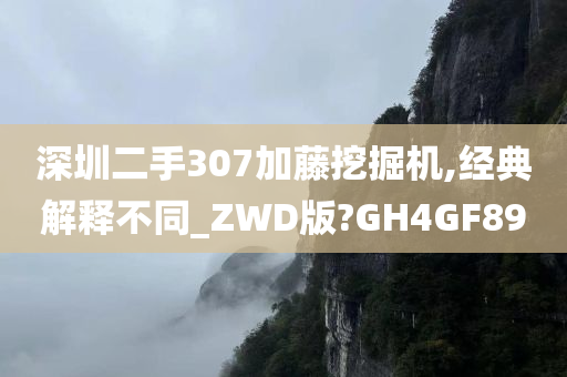 深圳二手307加藤挖掘机,经典解释不同_ZWD版?GH4GF89