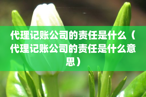 代理记账公司的责任是什么（代理记账公司的责任是什么意思）