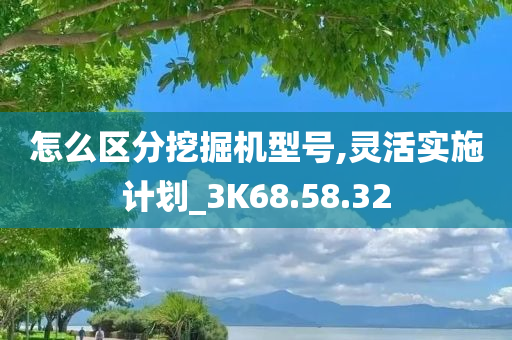 怎么区分挖掘机型号,灵活实施计划_3K68.58.32