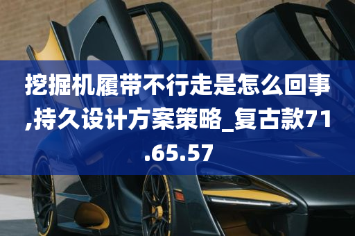 挖掘机履带不行走是怎么回事,持久设计方案策略_复古款71.65.57