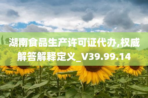 湖南食品生产许可证代办,权威解答解释定义_V39.99.14