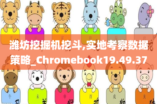 潍坊挖掘机挖斗,实地考察数据策略_Chromebook19.49.37