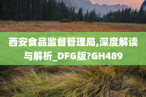 西安食品监督管理局,深度解读与解析_DFG版?GH489