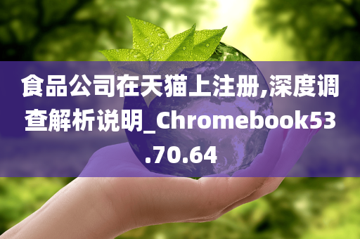 食品公司在天猫上注册,深度调查解析说明_Chromebook53.70.64