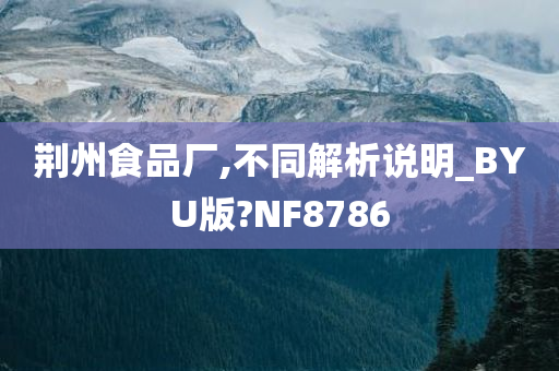 荆州食品厂,不同解析说明_BYU版?NF8786