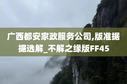 广西都安家政服务公司,版准据据选解_不解之缘版FF45