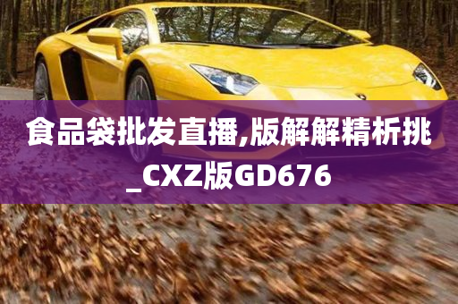 食品袋批发直播,版解解精析挑_CXZ版GD676